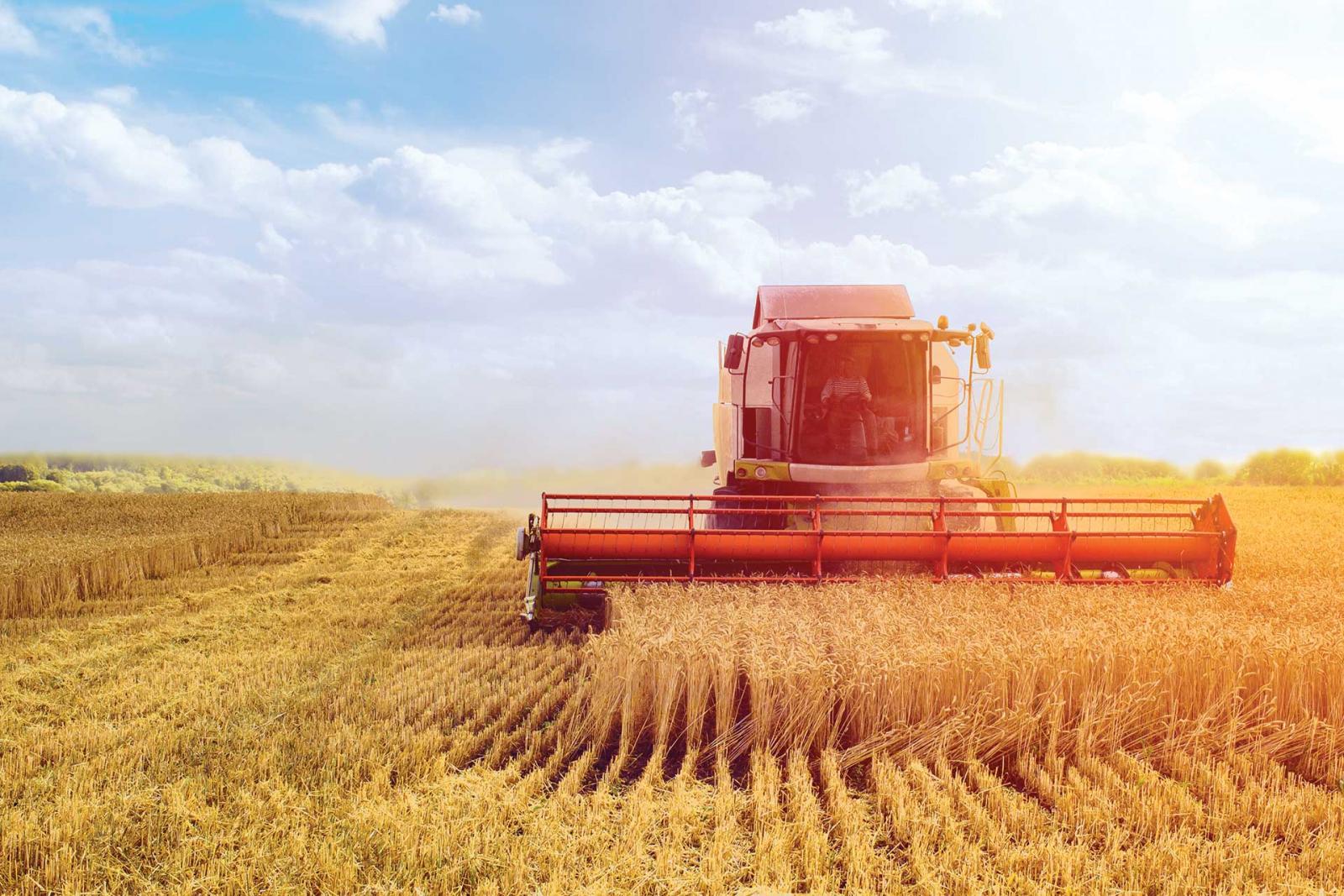 Wellness in Tough Times Project combine harvesting corn