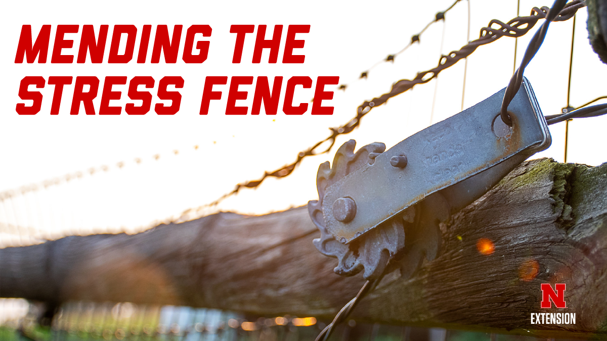 graphic with closeup photo of a fence.