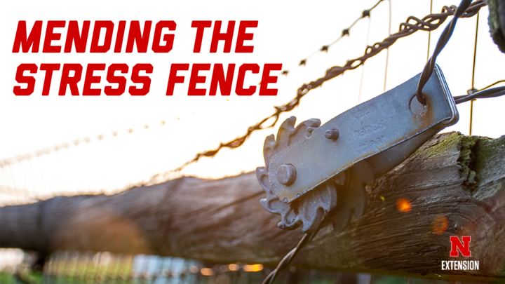 Mending the stress fence graphic.