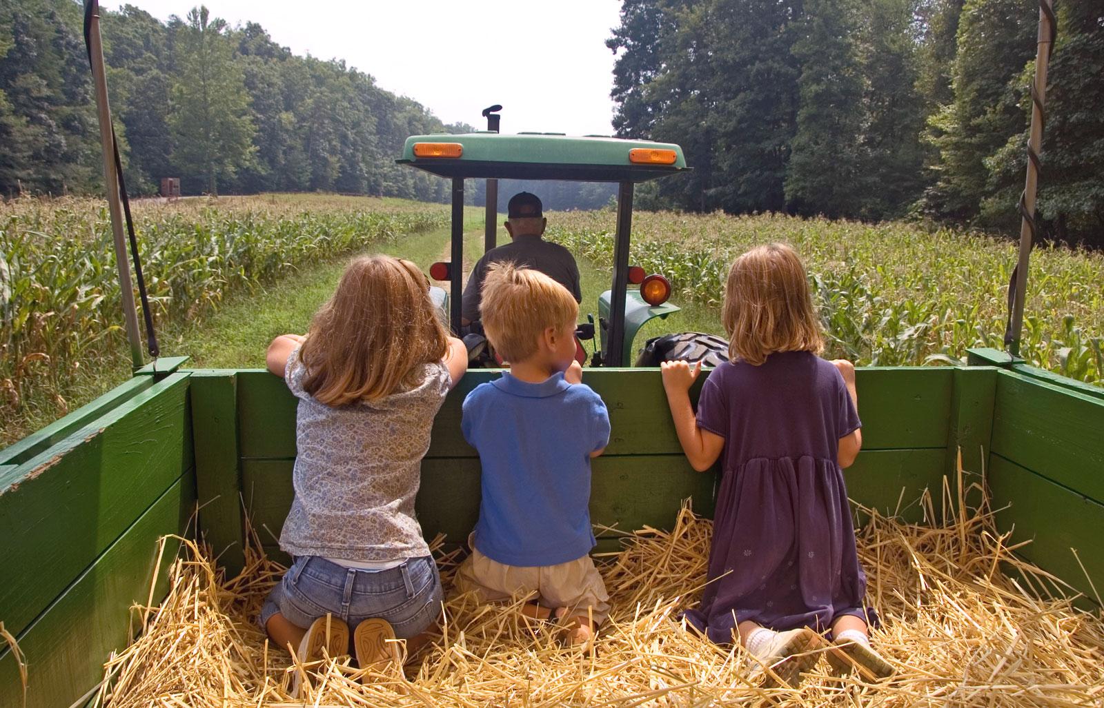 Children on a hay rack ride